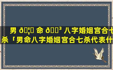 男 🦁 命 🐳 八字婚姻宫合七杀「男命八字婚姻宫合七杀代表什么」